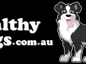 Healthy-Dogs-Logo-1