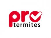 pro-termites-logo-square
